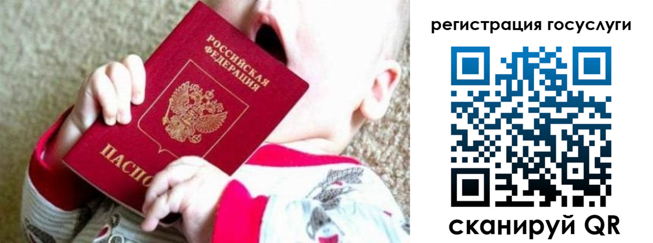 прописка гарантия в Находке